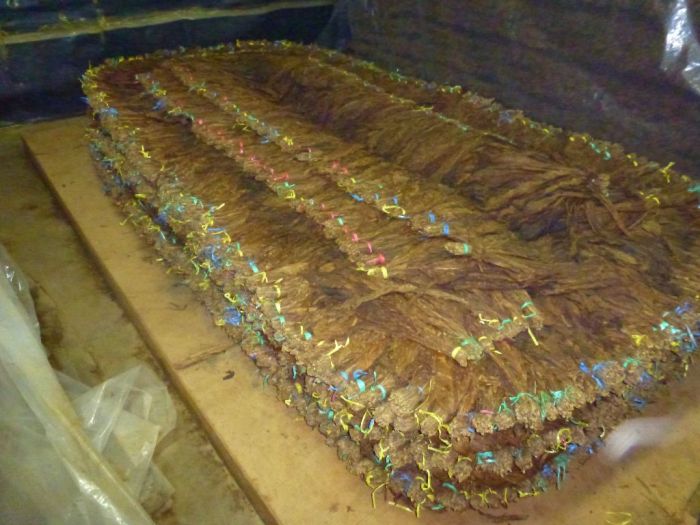 Drew Estate-Fermenting Pilon