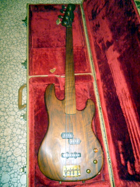 schecter 2 (2)
