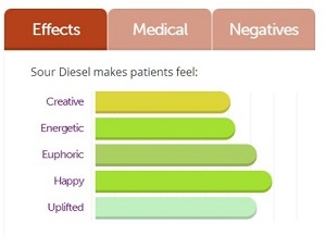 sour-diesel-effects1