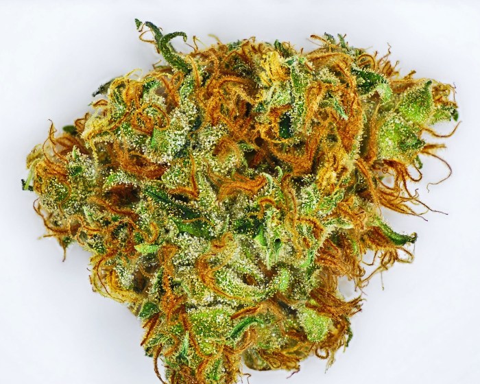 lemon-haze-cannabis-strain